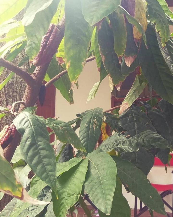 Mi Ranchito, Centro Otel Barichara Dış mekan fotoğraf