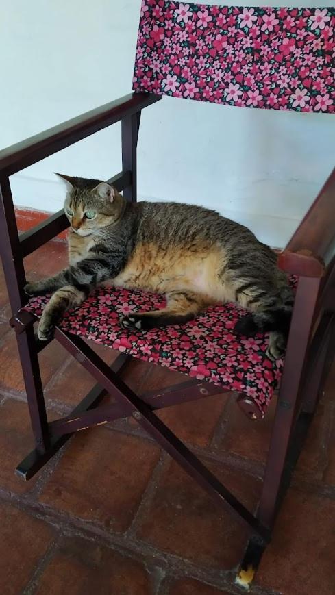 Mi Ranchito, Centro Otel Barichara Dış mekan fotoğraf